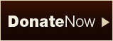 Donate Now